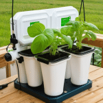 DIY Hydroponic Bucket System