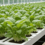 Managing Hydroponic Nutrient Levels