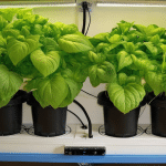 DIY Hydroponic Grow Box