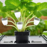 How to Automate Your Hydroponic System