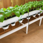 How to Build a Budget-Friendly Hydroponic System