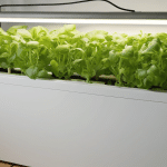 How to Design a Custom Hydroponic System