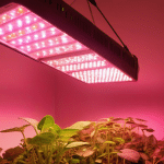 How to Use LED Grow Lights Effectively