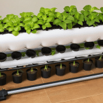 DIY Hydroponic System for Growing Flowers